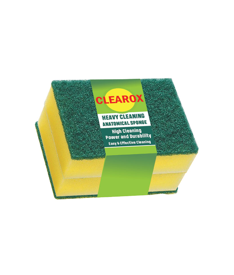 Scourer Sponge